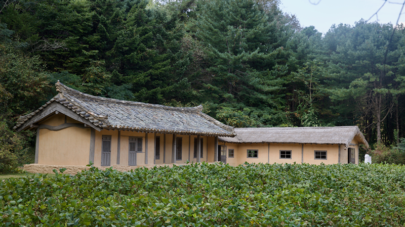 风景2_副本.jpg